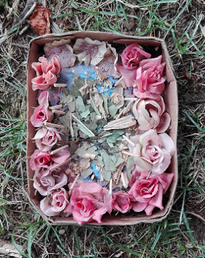 Jardin miniature rose