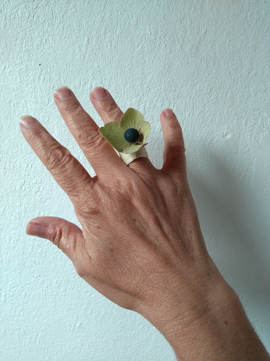 Bague petit png 1